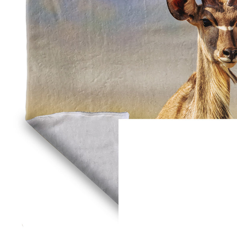 Kudu Bull Light Weight Fleece Blanket by Fanie Heymans
