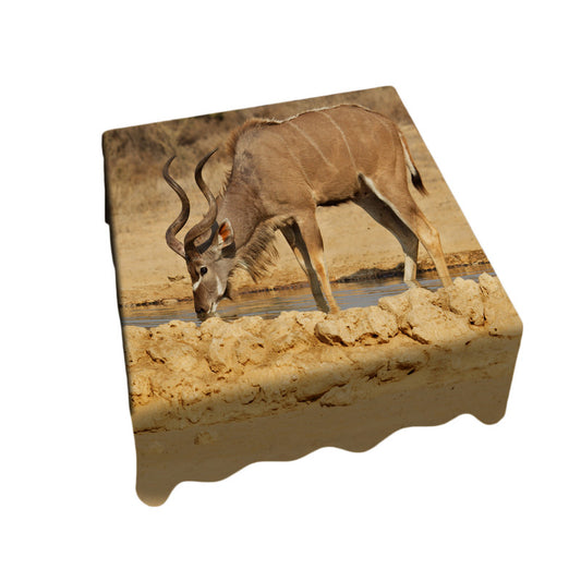 Kudu Bull Square Tablecloth by Annette Heymans
