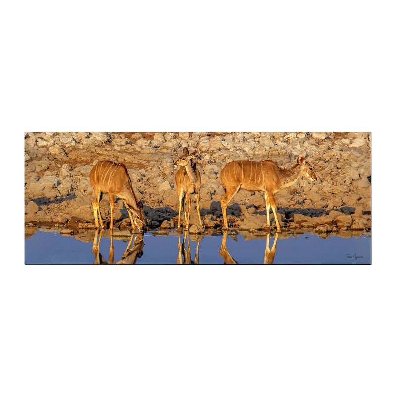 Kudu Drinking Water Desk Pad by Fanie Heymans