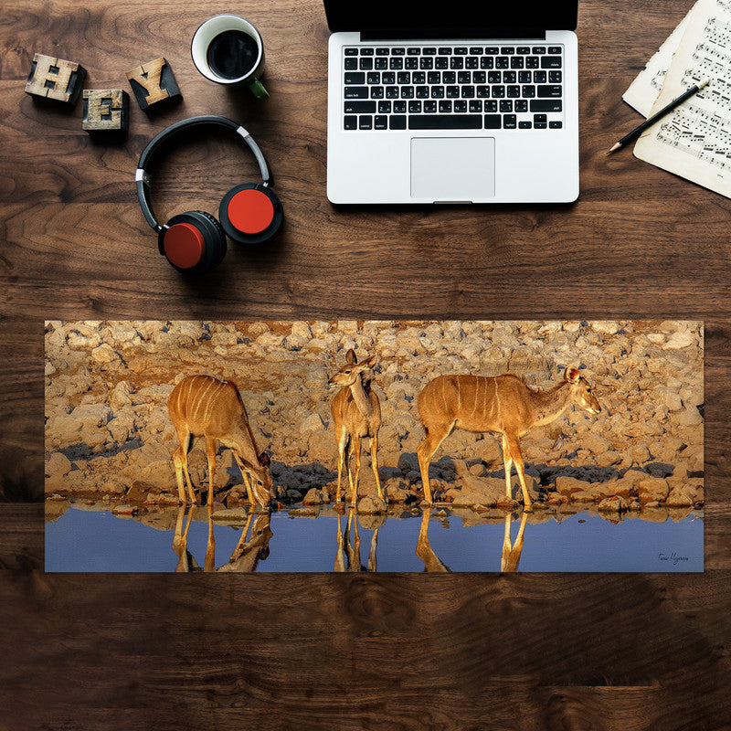 Kudu Drinking Water Desk Pad by Fanie Heymans