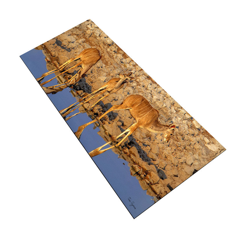 Kudu Drinking Water Desk Pad by Fanie Heymans