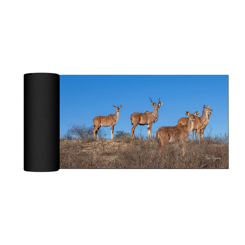 Kudu Herd Desk Pad by Fanie Heymans