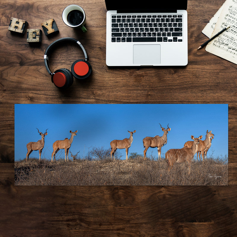 Kudu Herd Desk Pad by Fanie Heymans
