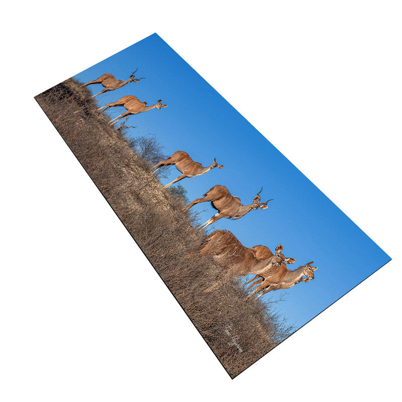 Kudu Herd Desk Pad by Fanie Heymans