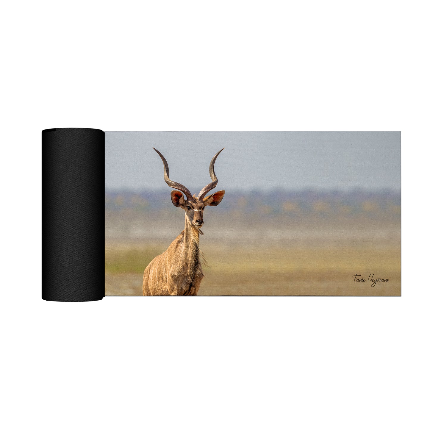 Kudu Bull Desk Pad by Fanie Heymans