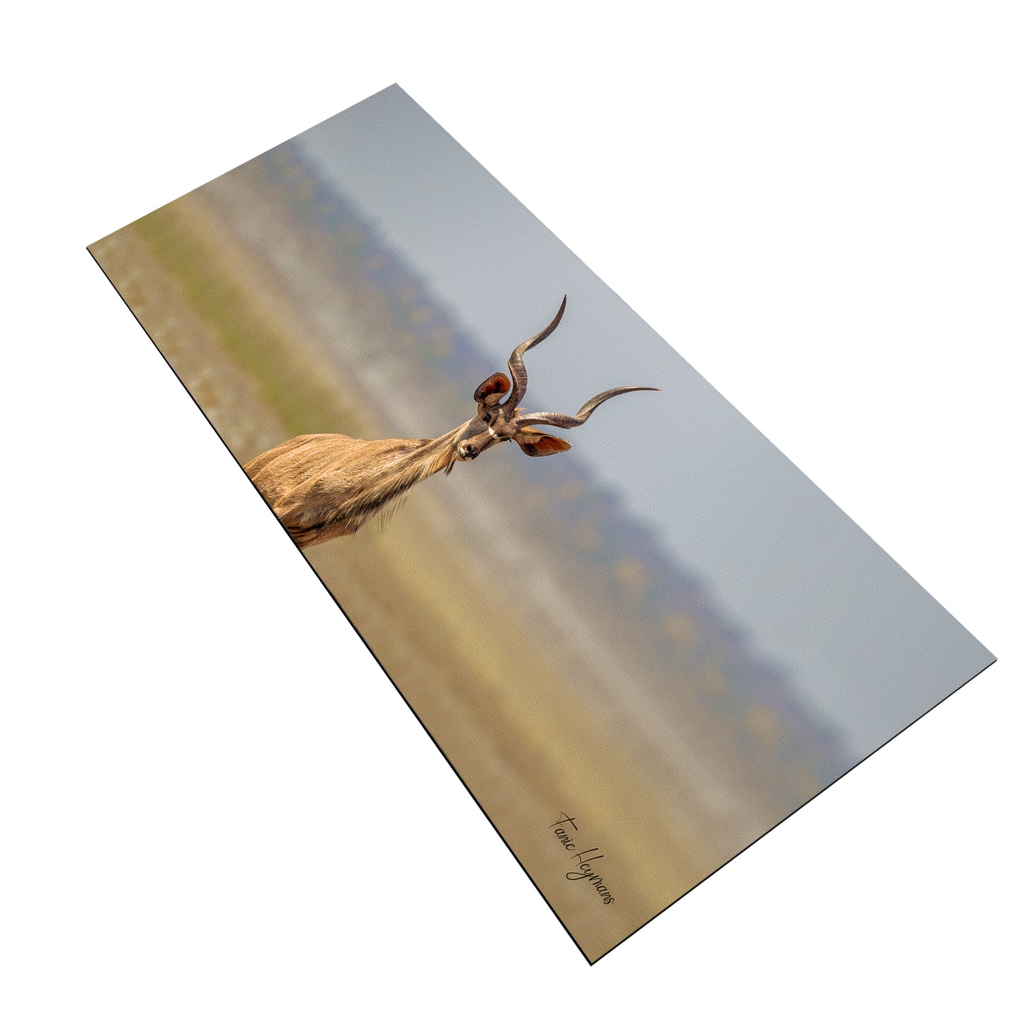 Kudu Bull Desk Pad by Fanie Heymans