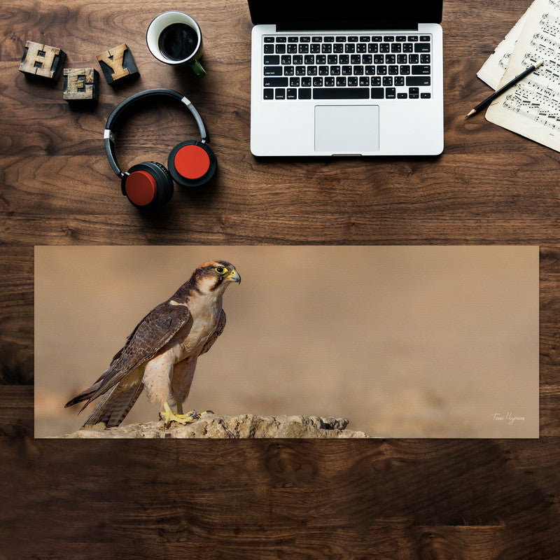 Lanner Falcon Edelvalk Large Desk Pad By Fanie Heymans