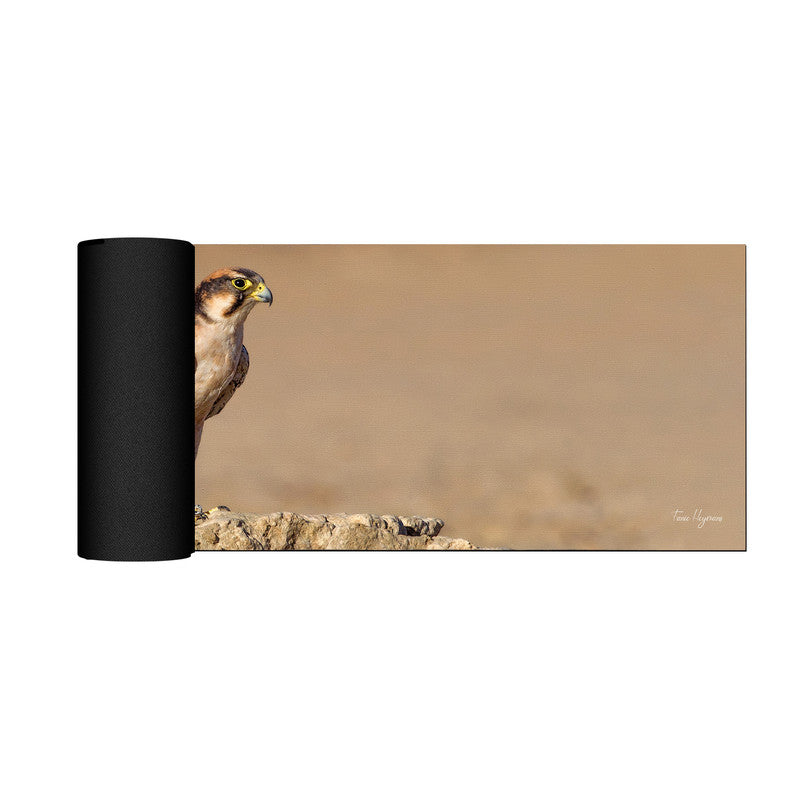 Lanner Falcon Edelvalk Large Desk Pad By Fanie Heymans