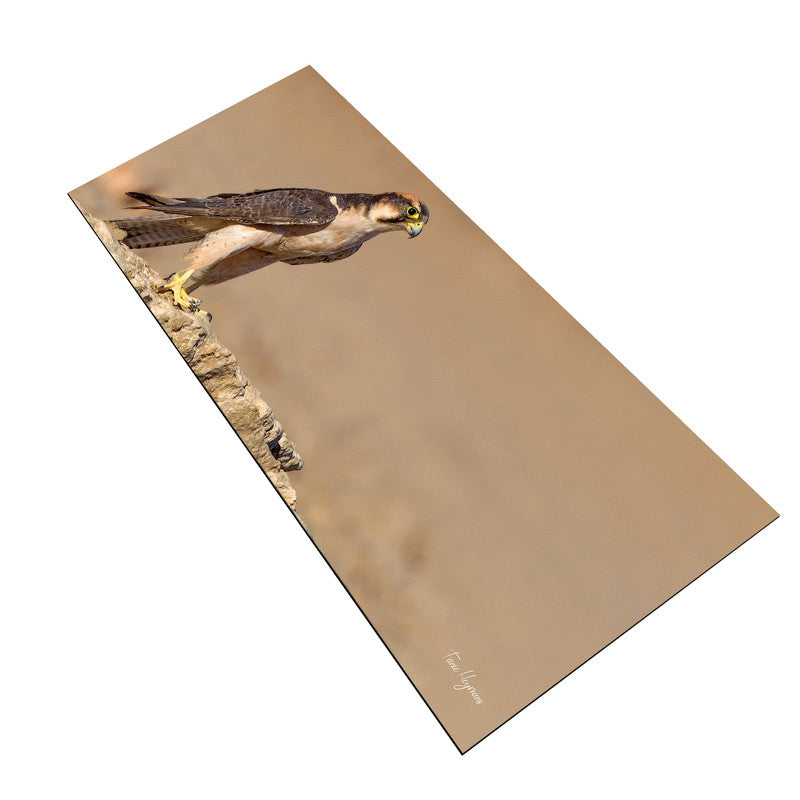 Lanner Falcon Edelvalk Large Desk Pad By Fanie Heymans