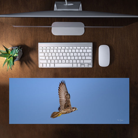 Lanor Falcon Middle Large Desk Pad by Fanie Heymans