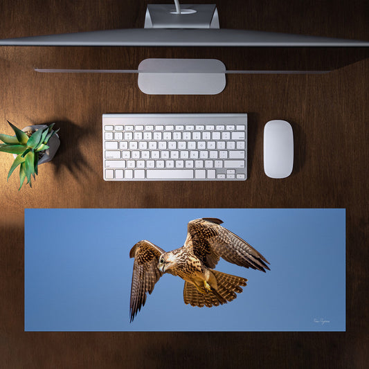 Lanor Falcon Right Desk Pad by Fanie Heymans