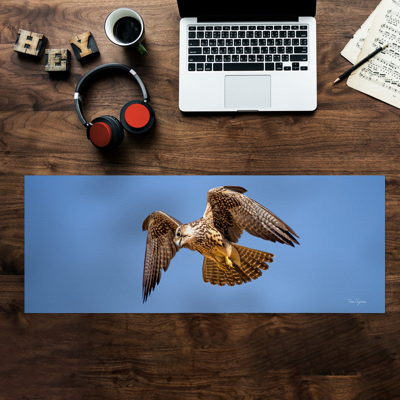 Lanor Falcon Right Desk Pad by Fanie Heymans