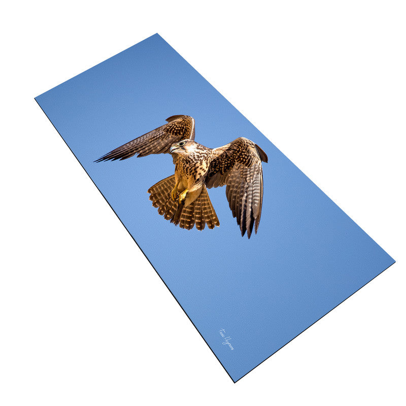 Lanor Falcon Right Desk Pad by Fanie Heymans