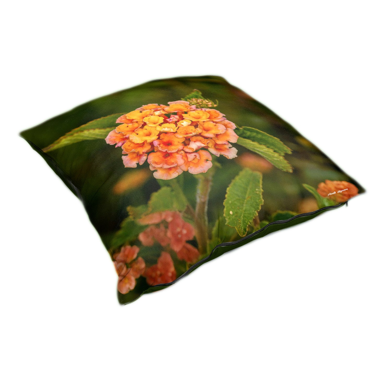 Lantana Fower Luxury Scatter by Annette Heymans