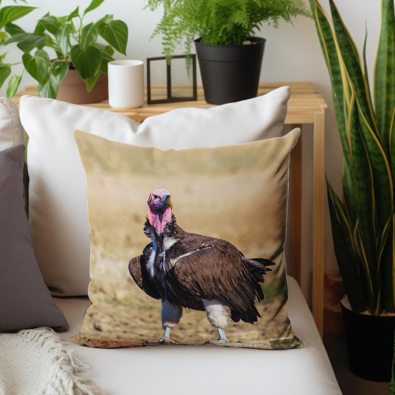 Lapped Faced Vulture Luxury Scatter by Annette Heymans