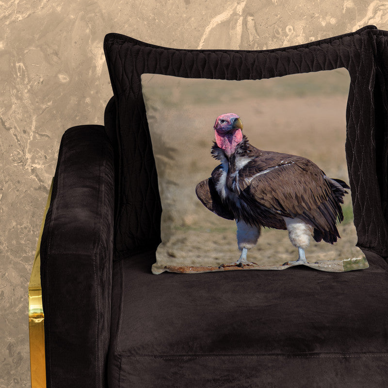 Lapped Faced Vulture Luxury Scatter by Annette Heymans