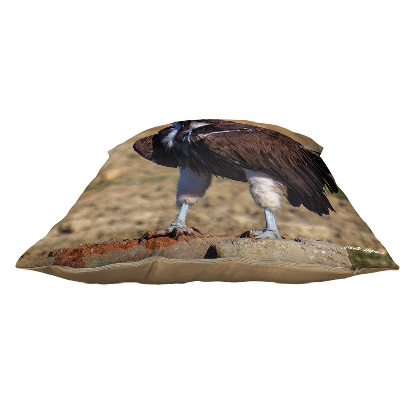 Lapped Faced Vulture Luxury Scatter by Annette Heymans