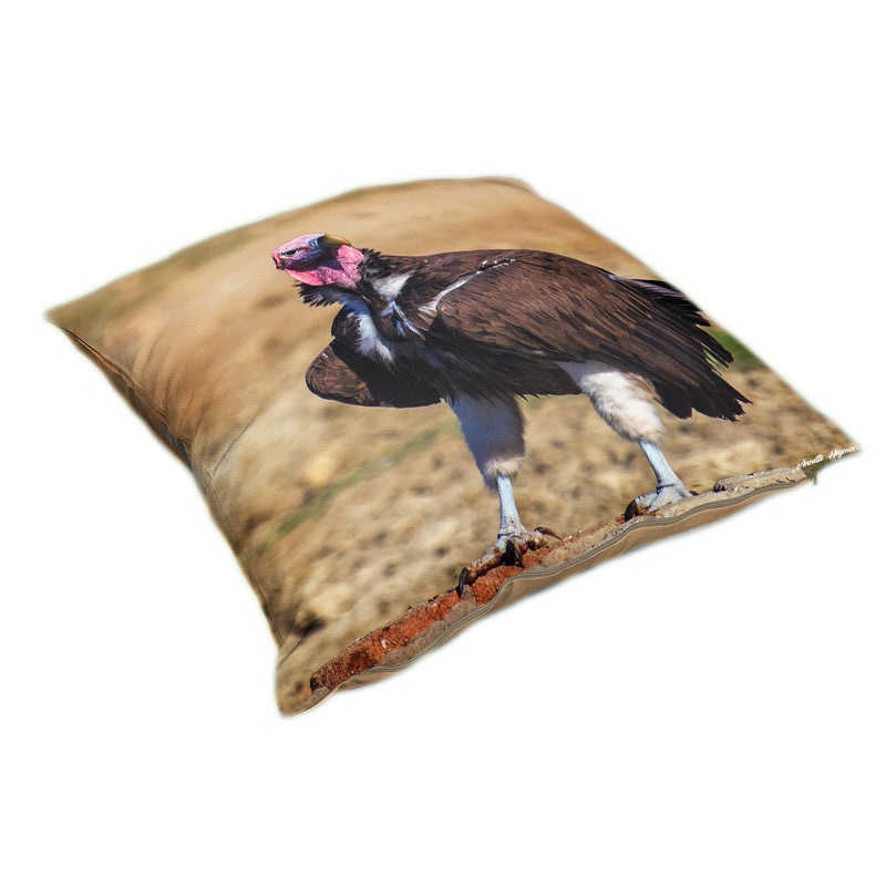 Lapped Faced Vulture Luxury Scatter by Annette Heymans