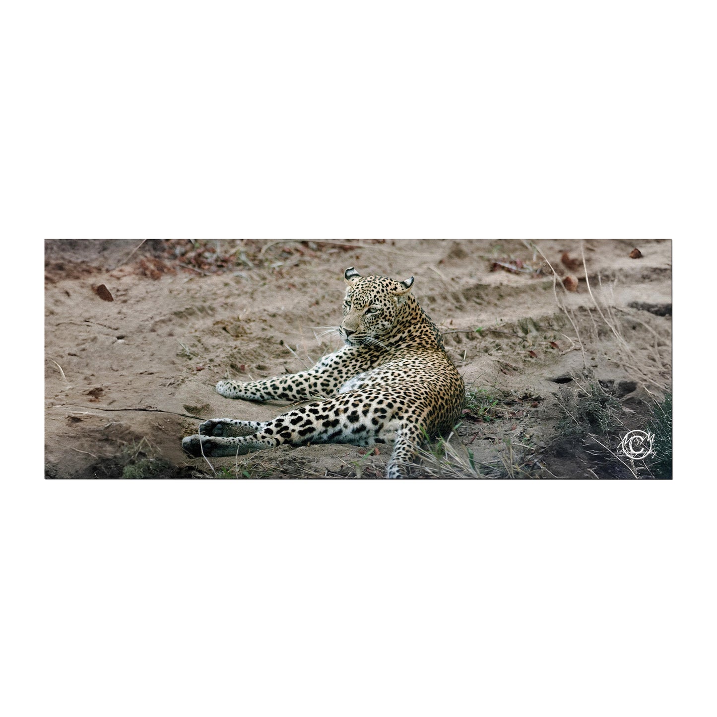 Lazy Leopard Desk Pad by Ferdie Muller