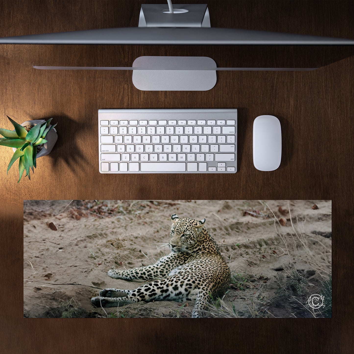 Lazy Leopard Desk Pad by Ferdie Muller