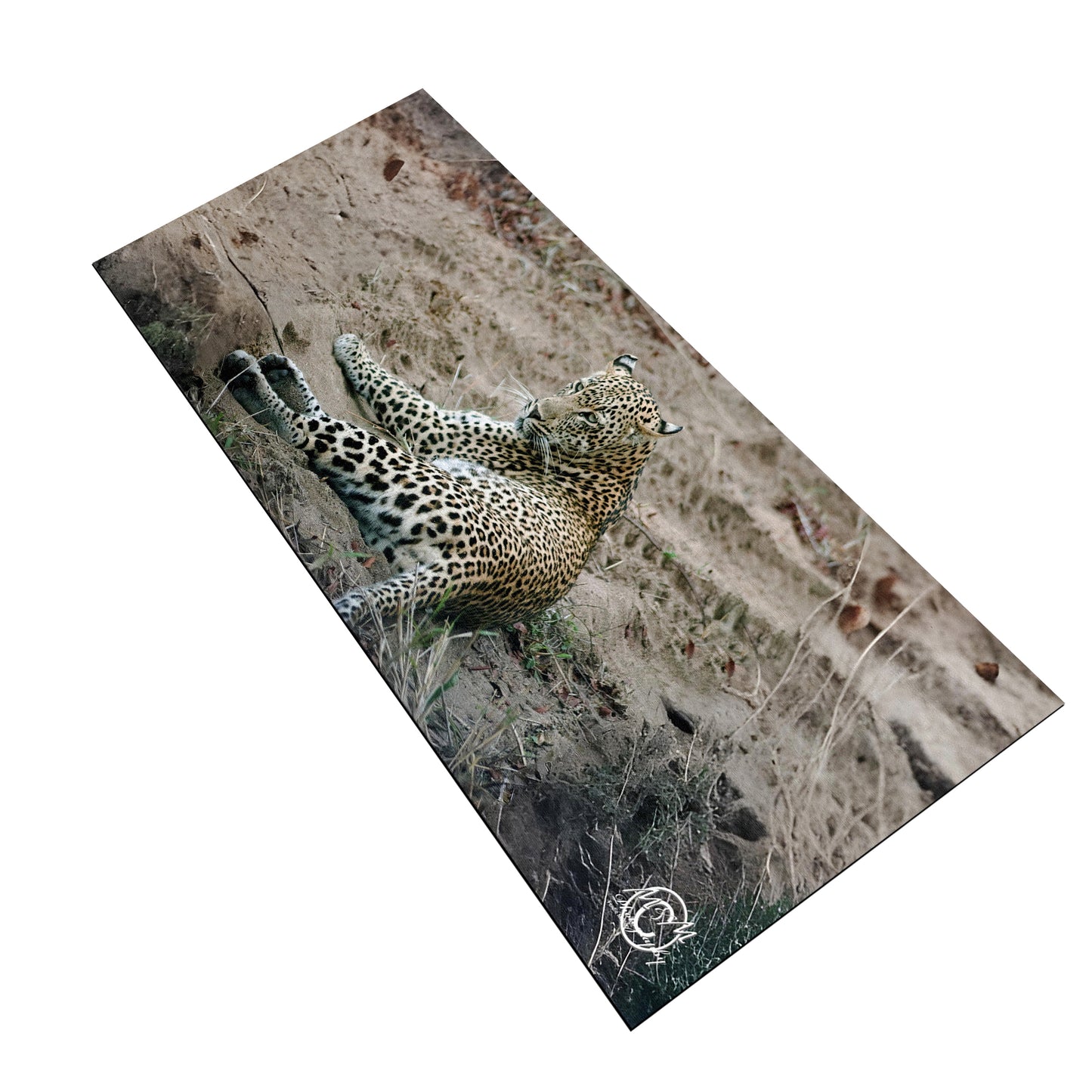 Lazy Leopard Desk Pad by Ferdie Muller