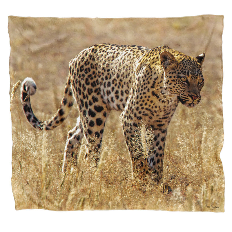 Leopard Kgalagadi Light Weight Fleece Blanket By Fanie Heymans