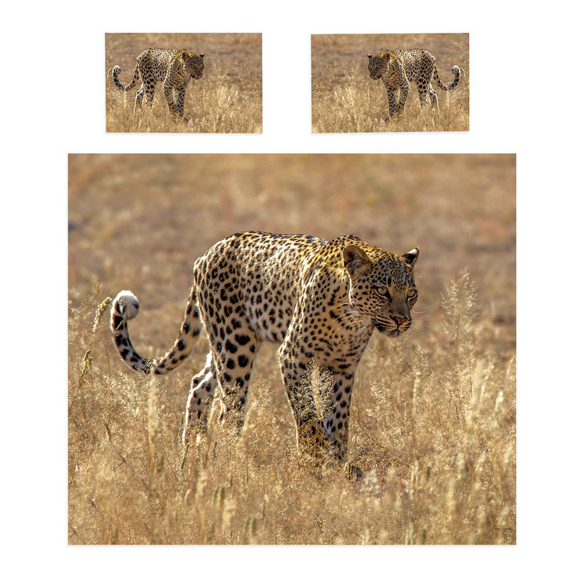 Leopard Kgalagadi By Fanie Heymans Duvet Cover Set