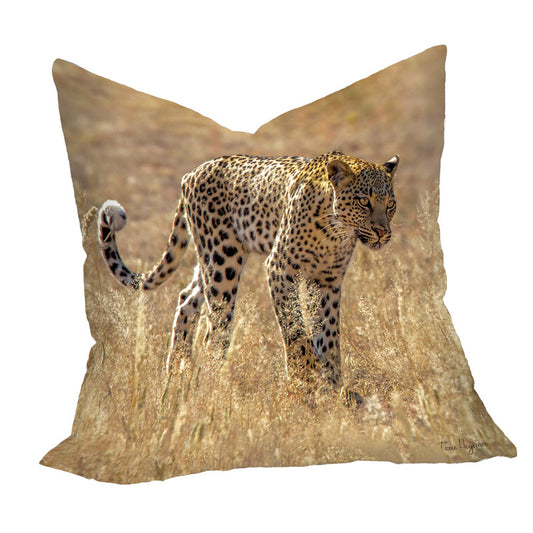 Strolling Panthera Kgalagadi Luxury Scatter By Fanie Heymans