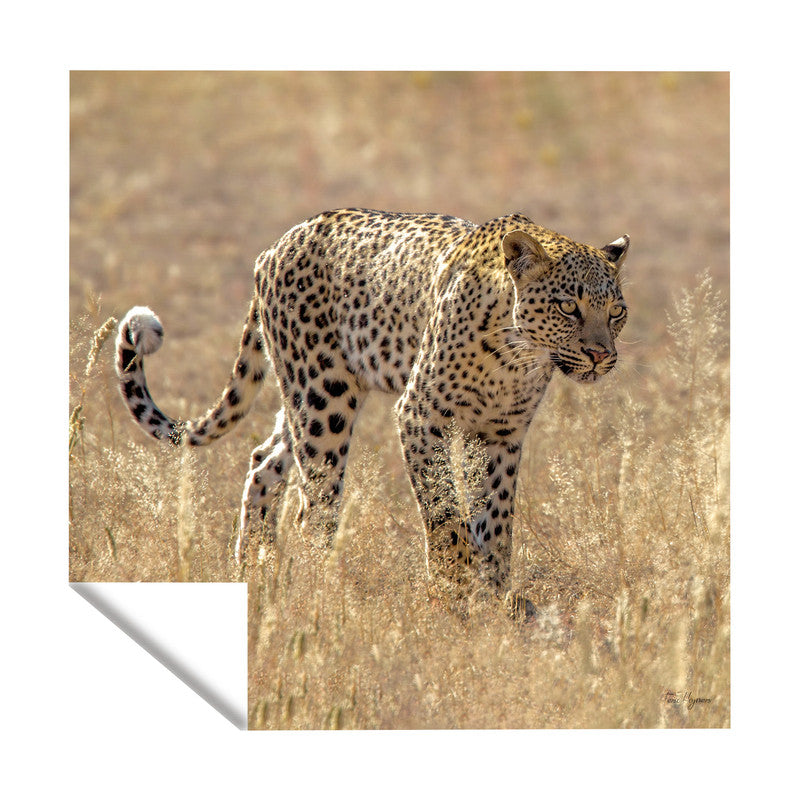 Leopard Kgalagadi Square Tablecloth By Fanie Heymans