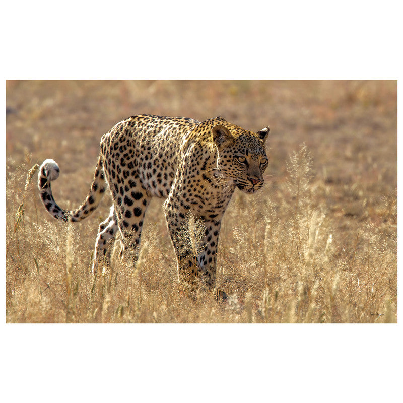 Leopard by Fanie Heymans Rectangle Tablecloth