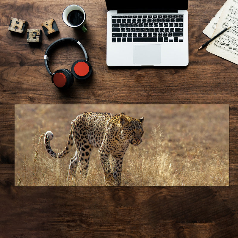 Leopard Luiperd Panthera Pardus Kgalagadi Panthera Leo Large Desk Pad By Fanie Heymans