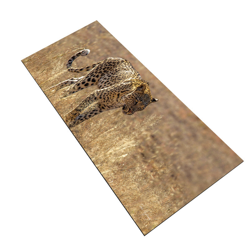 Leopard Luiperd Panthera Pardus Kgalagadi Panthera Leo Large Desk Pad By Fanie Heymans
