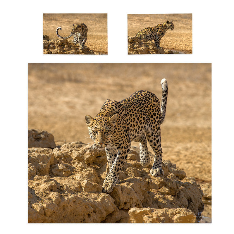 Leopard Stare Duvet Cover Set by Fanie Heymans