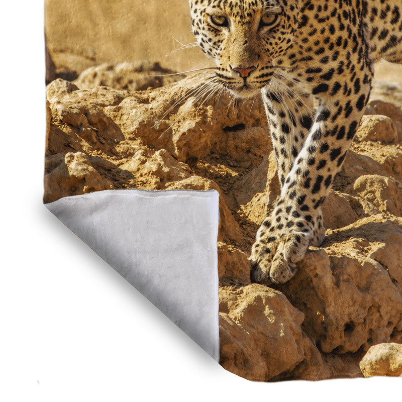Leopard Stare Light Weight Fleece Blanket by Fanie Heymans
