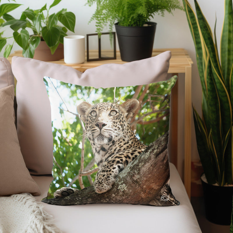 Leopard Stare Luxury Scatter by Ferdie Muller