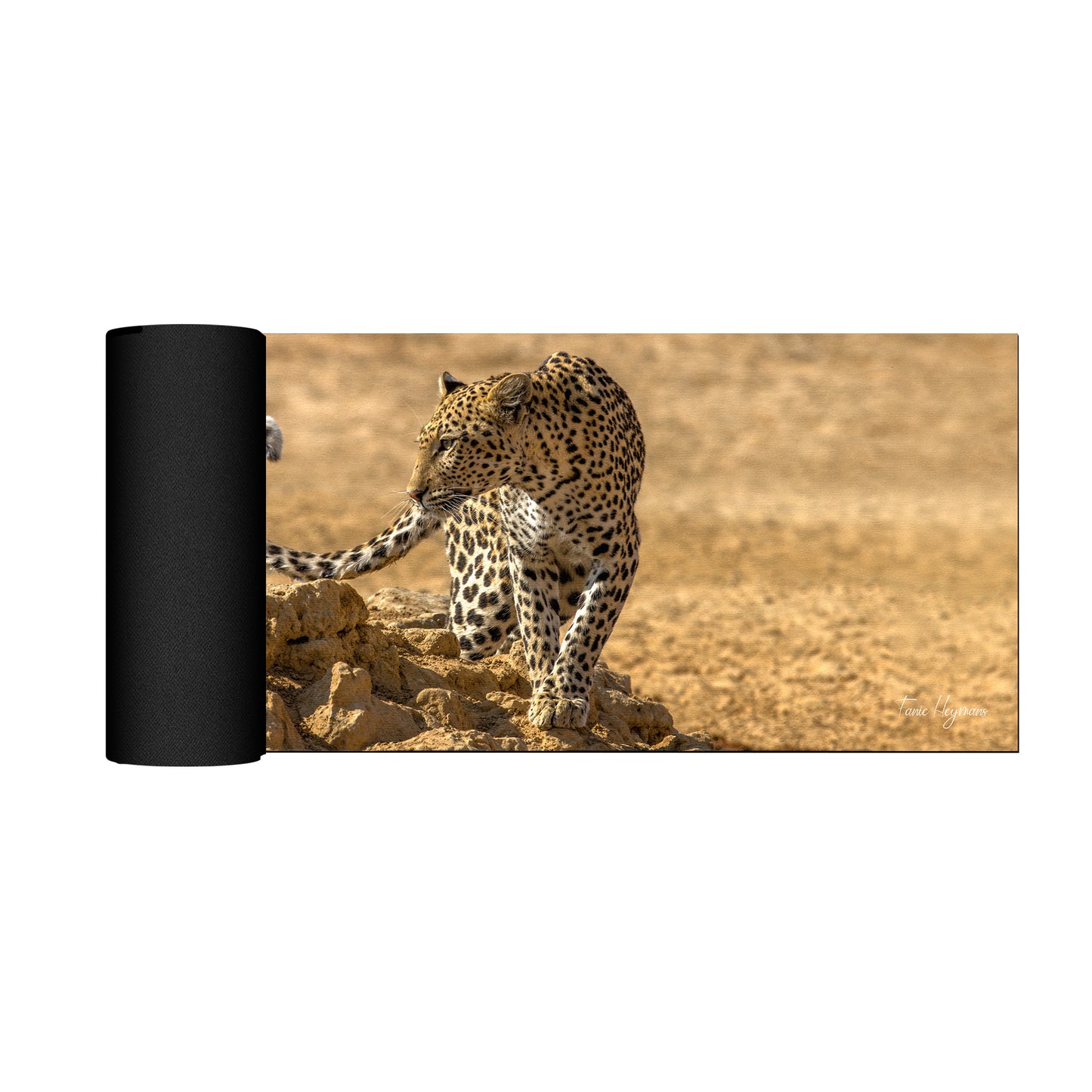 Leopard Kgalagadi Desk Pad by Fanie Heymans