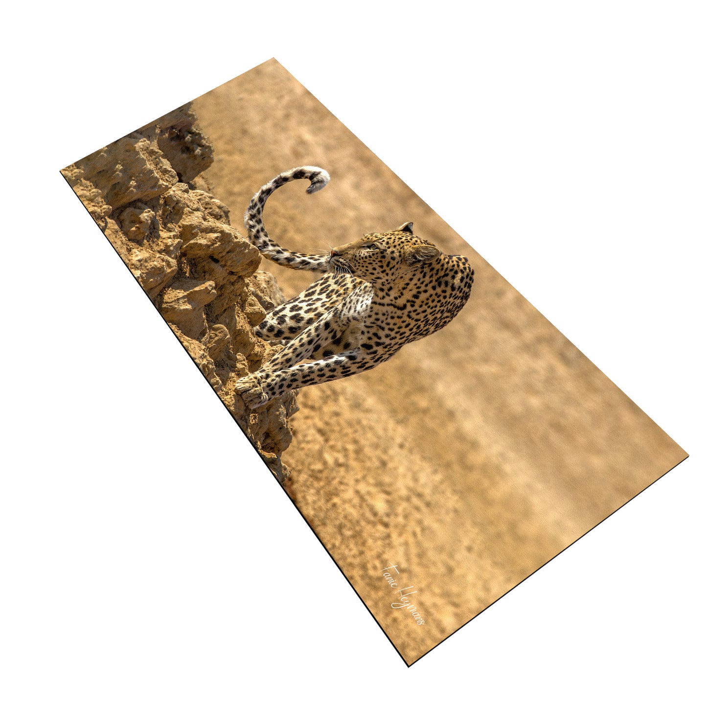 Leopard Kgalagadi Desk Pad by Fanie Heymans