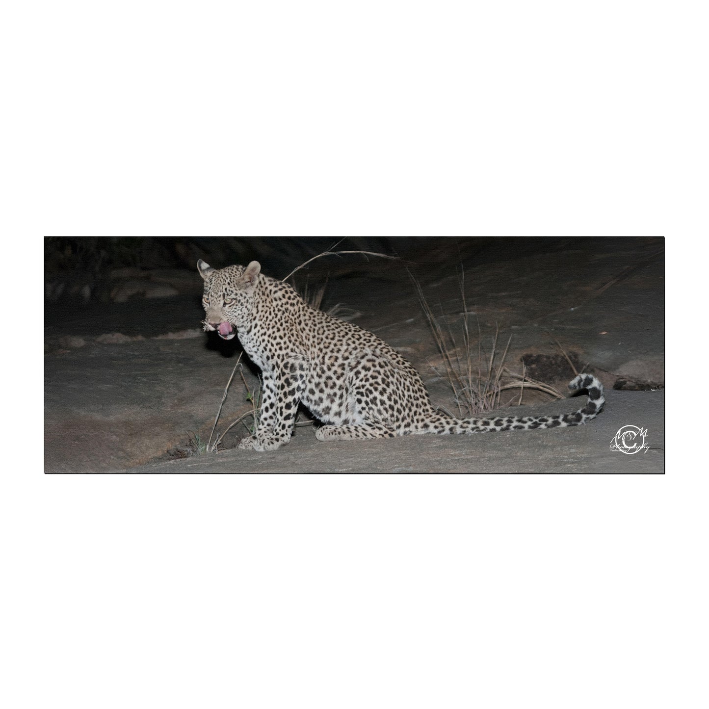 Leopard Licking Lips Desk Pad by Ferdie Muller