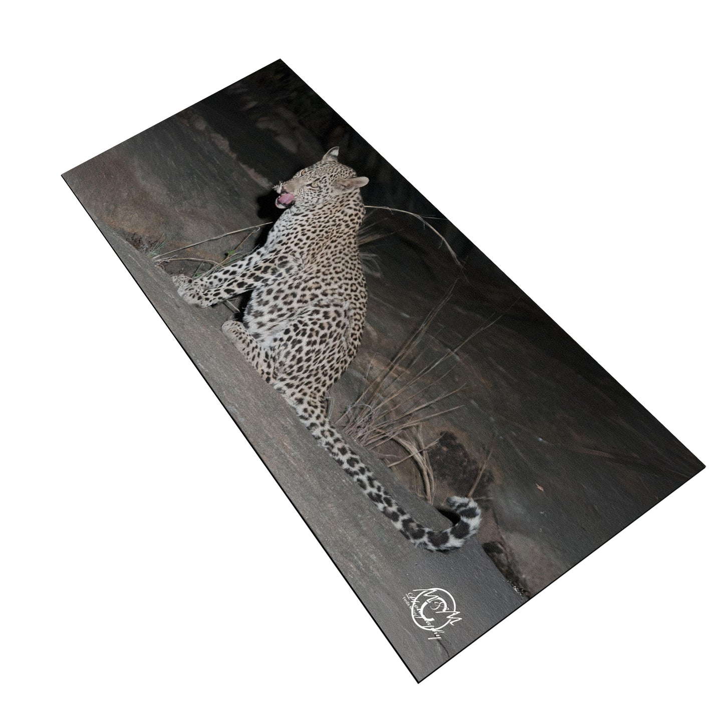 Leopard Licking Lips Desk Pad by Ferdie Muller