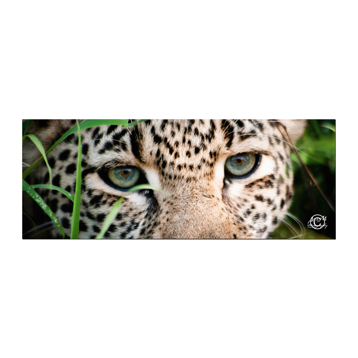 Leopard Looking Desk Pad by Ferdie Muller