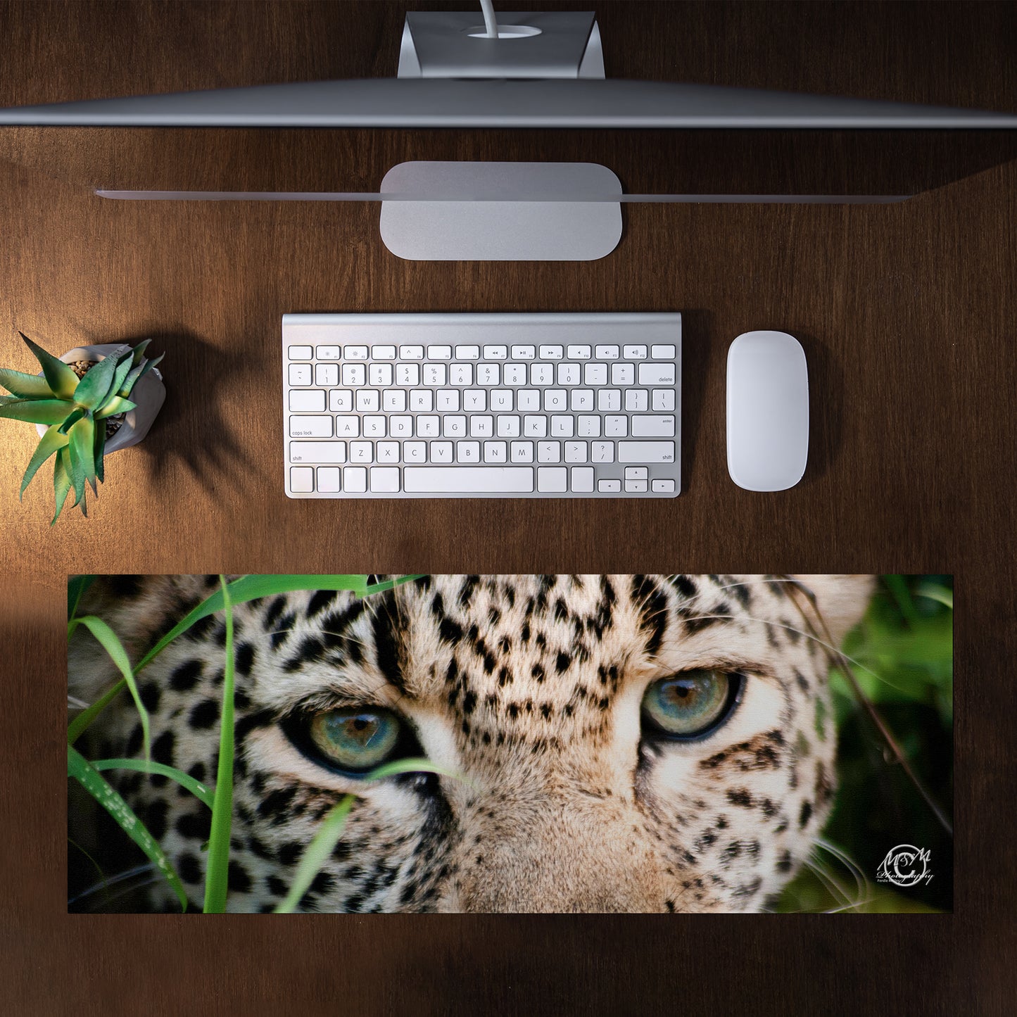 Leopard Looking Desk Pad by Ferdie Muller