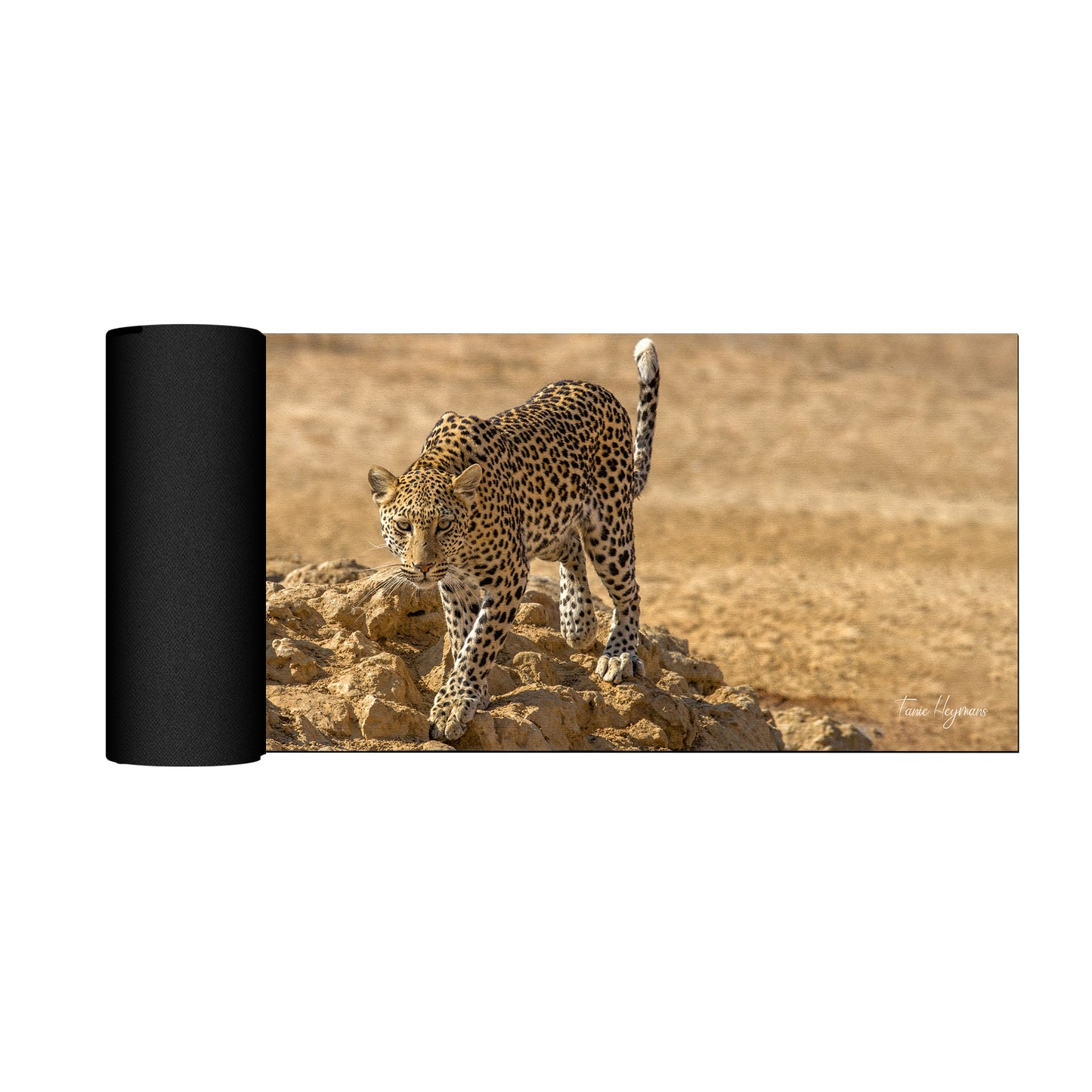 Leopard Stare Desk Pad by Fanie Heymans