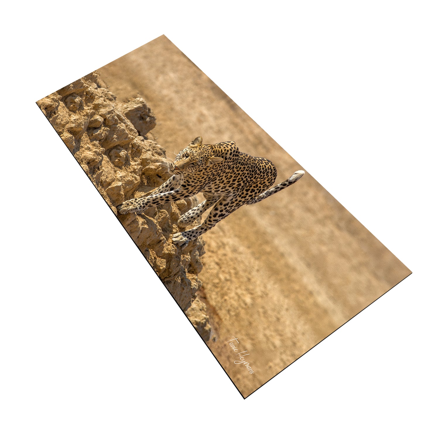 Leopard Stare Desk Pad by Fanie Heymans