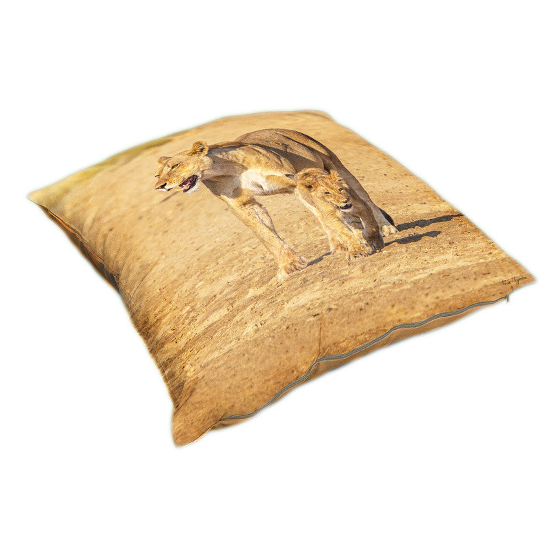 Lion Cub Luxury Scatter by Fanie Heymans