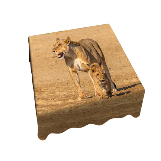 Lion Cub Square Tablecloth by Fanie Heymans