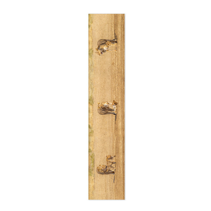 Lion Cub Table Runner by Fanie Heymans
