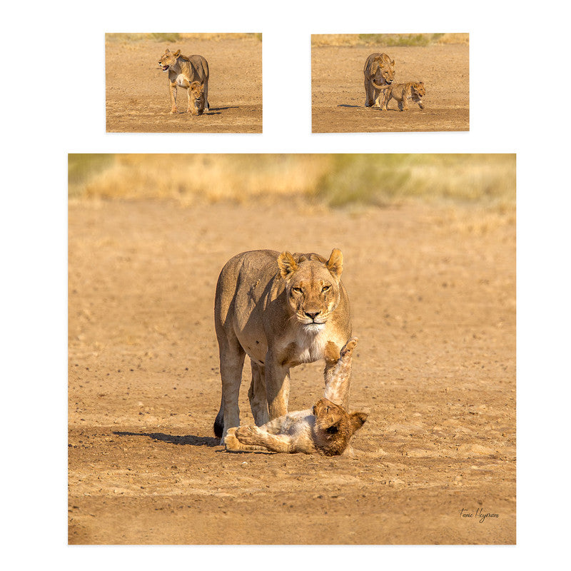 Lion Cubs Duvet Cover Set by Fanie Heymans