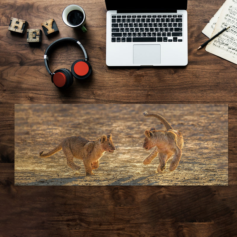 Lion Cubs playing early morning Large Desk Pad By Fanie Heymans