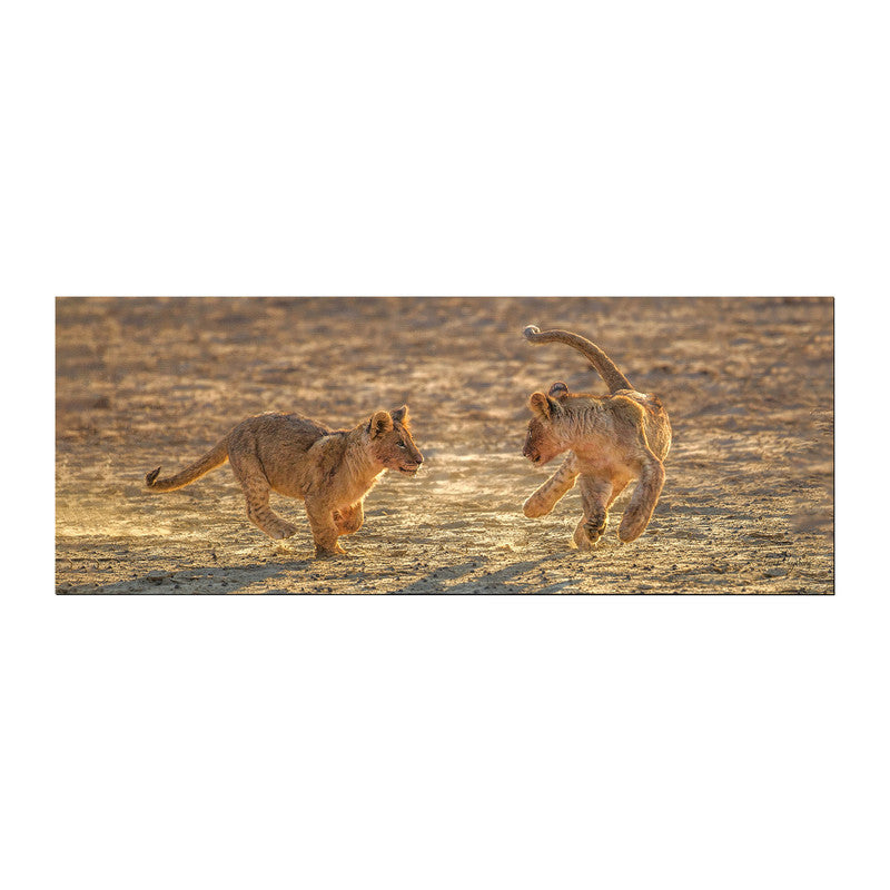 Lion Cubs playing early morning Large Desk Pad By Fanie Heymans