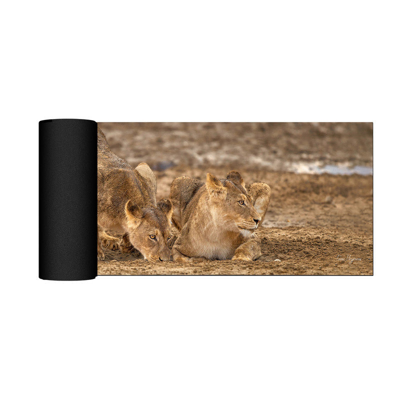 Lion Leeu Panthera Leo 11 Large Desk Pad By Fanie Heymans
